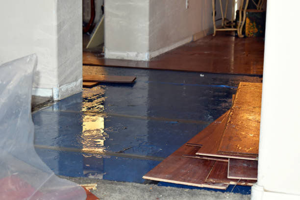 Professional Emergency Water Damage Restoration technician working in Silverton, OH